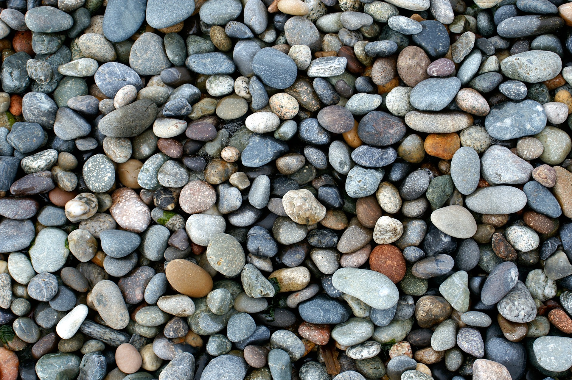 Shiny Wet Pebbles on Ocean Shore, Pacific Northwest